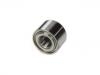 輪轂軸承 Wheel Bearing:40210-71L00