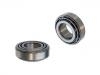 輪轂軸承 Wheel Bearing:251 405 645 B