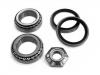 軸承修理包 Wheel bearing kit:5 012 478